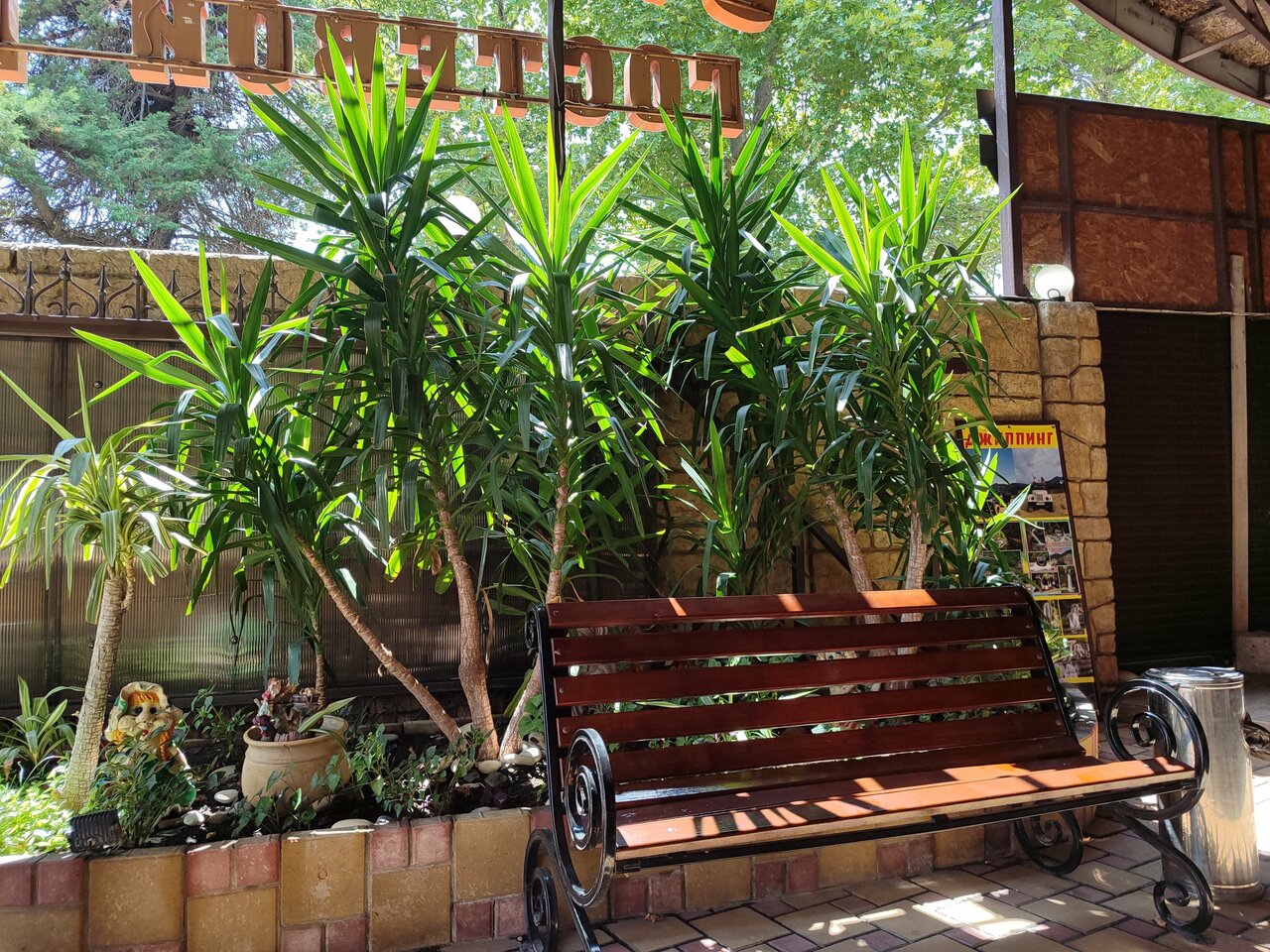 Гостиница Элизабет Лазаревское-159