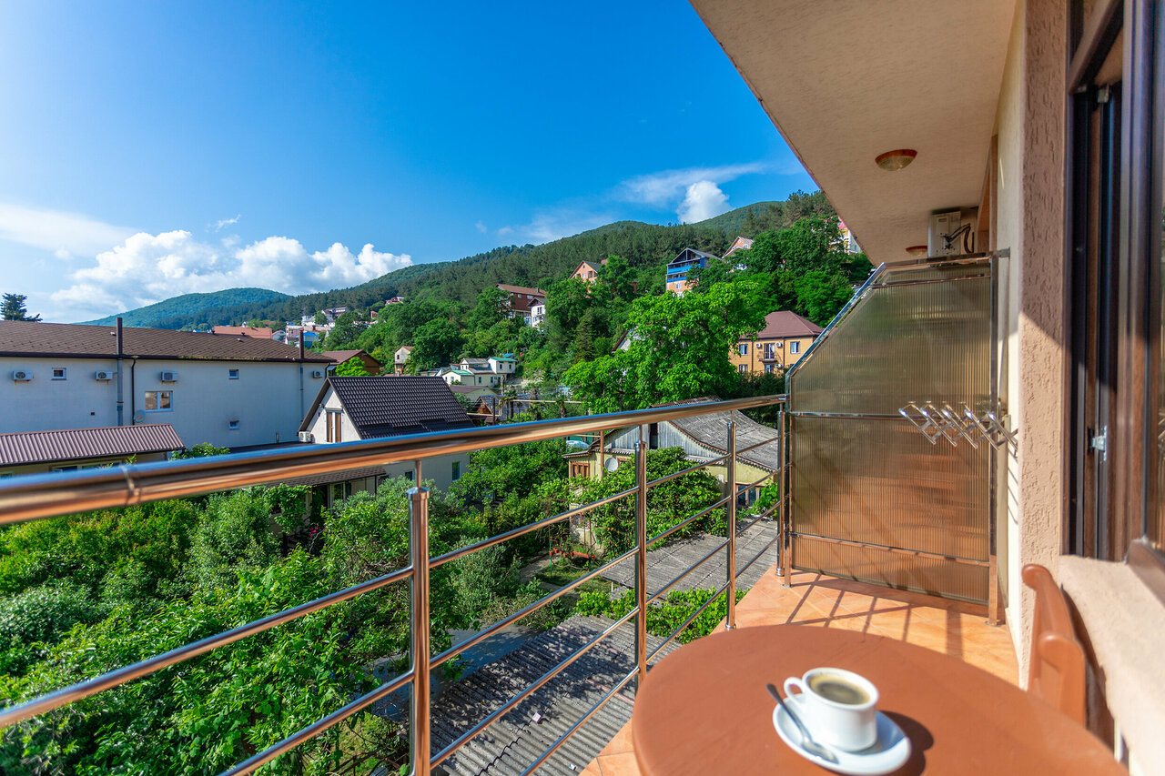 Гостиница Элизабет Лазаревское-84