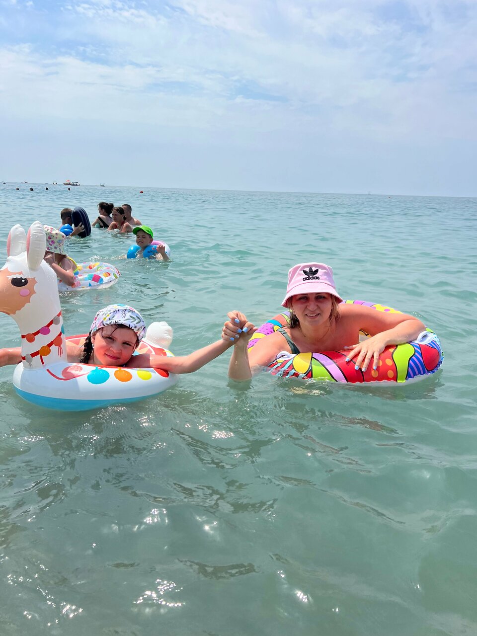 Гостиница Элизабет Лазаревское-161