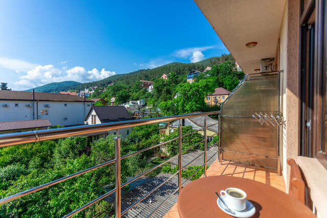 Гостиница Элизабет Лазаревское-83