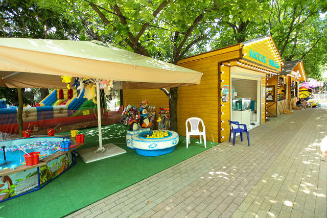 Гостиница Элизабет Лазаревское-96