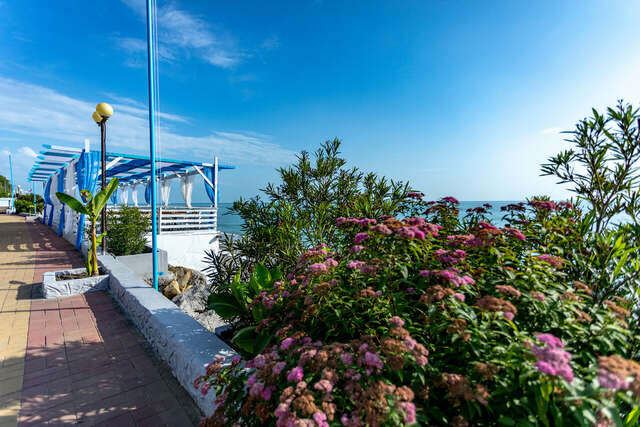 Гостиница Элизабет Лазаревское-39