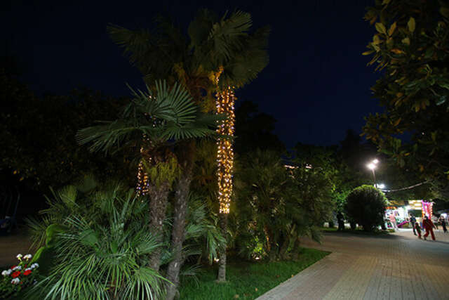 Гостиница Элизабет Лазаревское-37